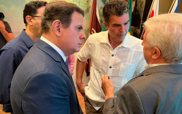 Macaque in the trees