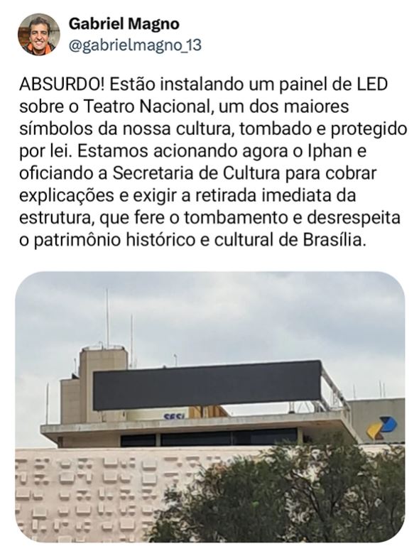 Macaque in the trees