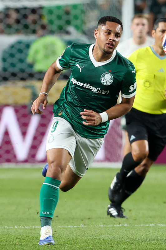 Macaque in the trees