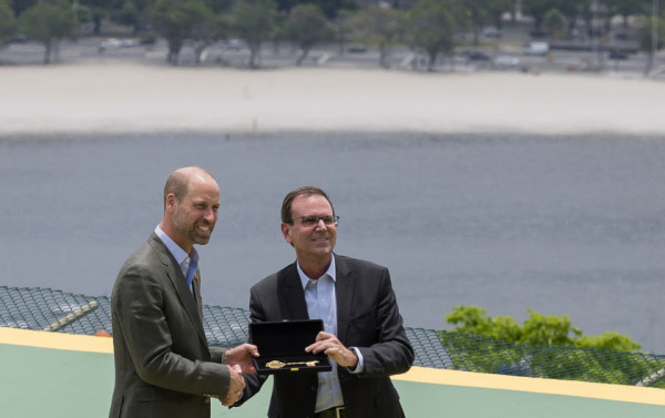 Macaque in the trees