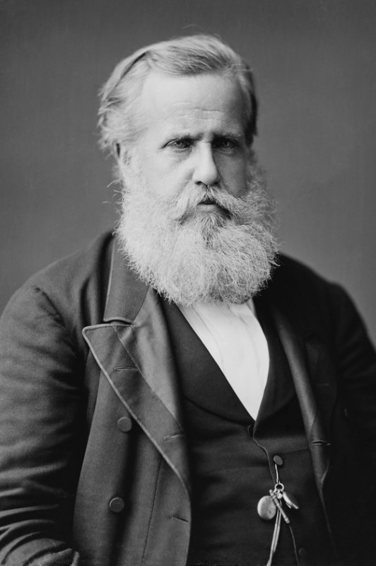 Imagem de D. Pedro II Macaque in the trees