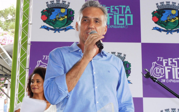 Macaque in the trees