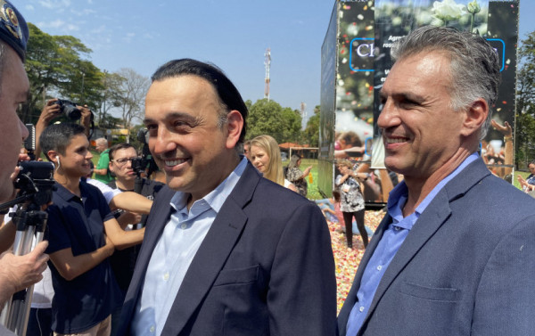 Macaque in the trees