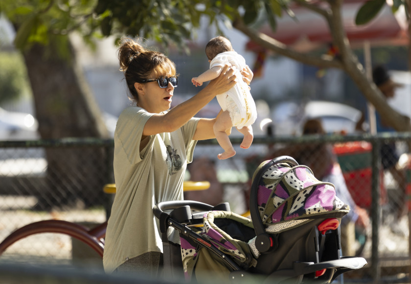Macaque in the trees