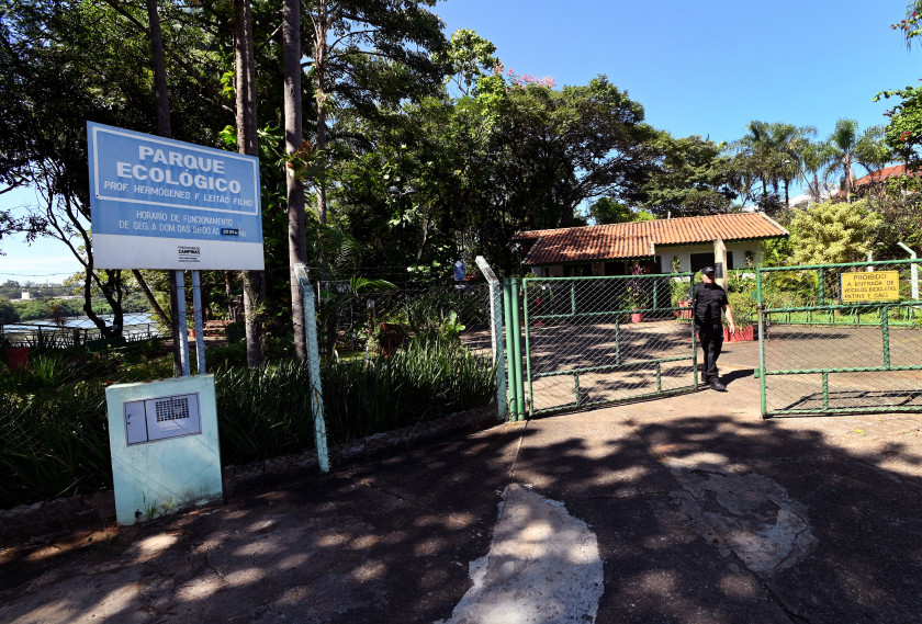 Variação natural entre claro e escuro interfere diretamente no comportamento dos animais do Parque Ecológico Hermógenes de Freitas Leitão Macaque in the trees