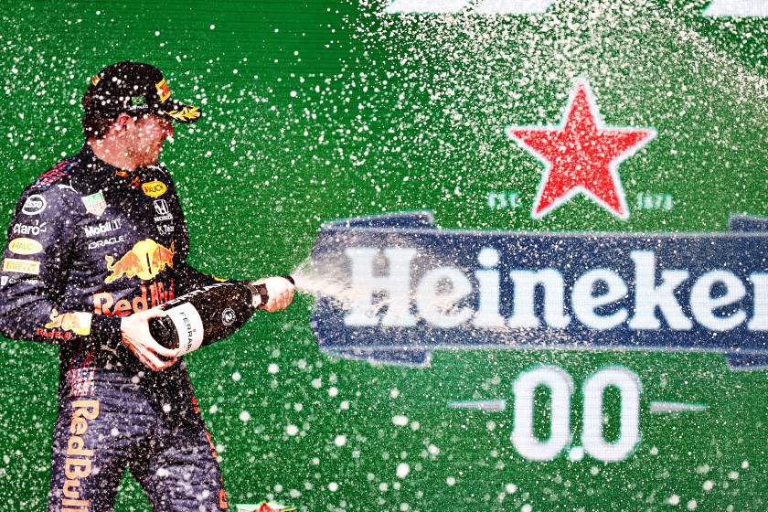 Macaque in the trees