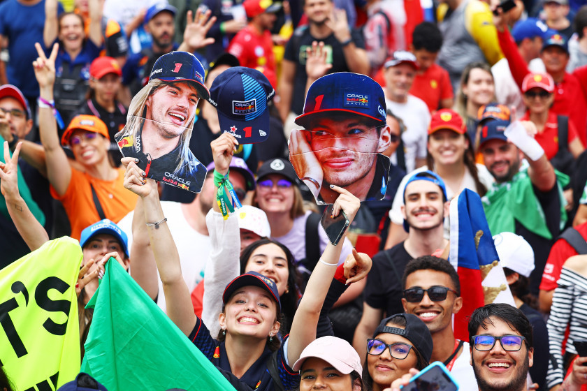 Macaque in the trees