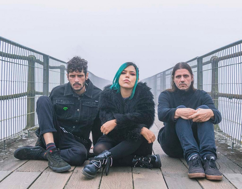 Macaque in the trees