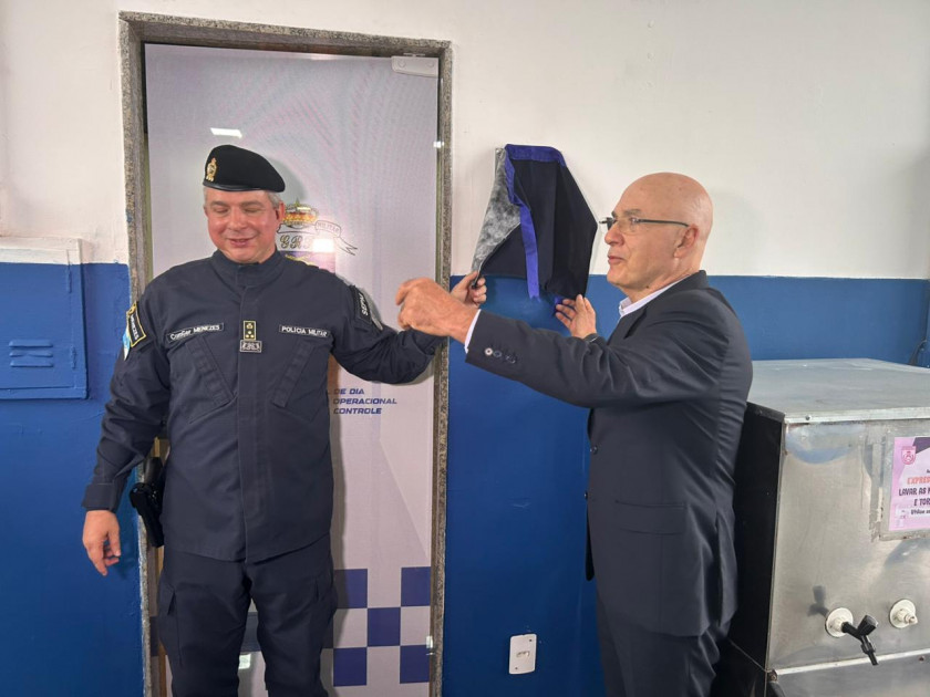 Macaque in the trees