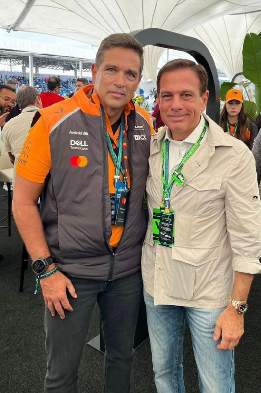 Macaque in the trees