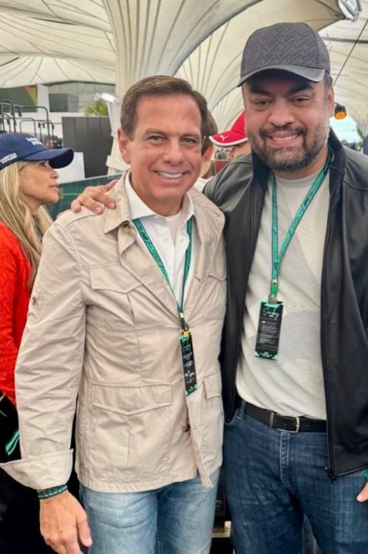 Macaque in the trees