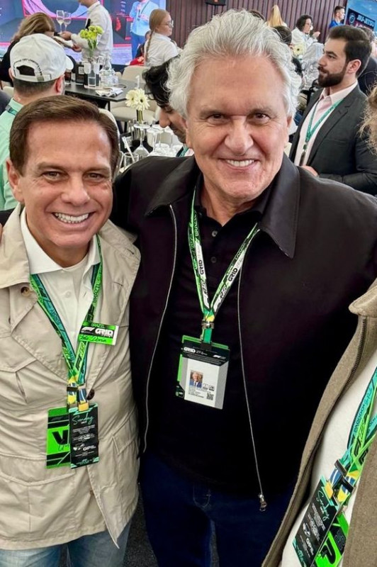 Macaque in the trees