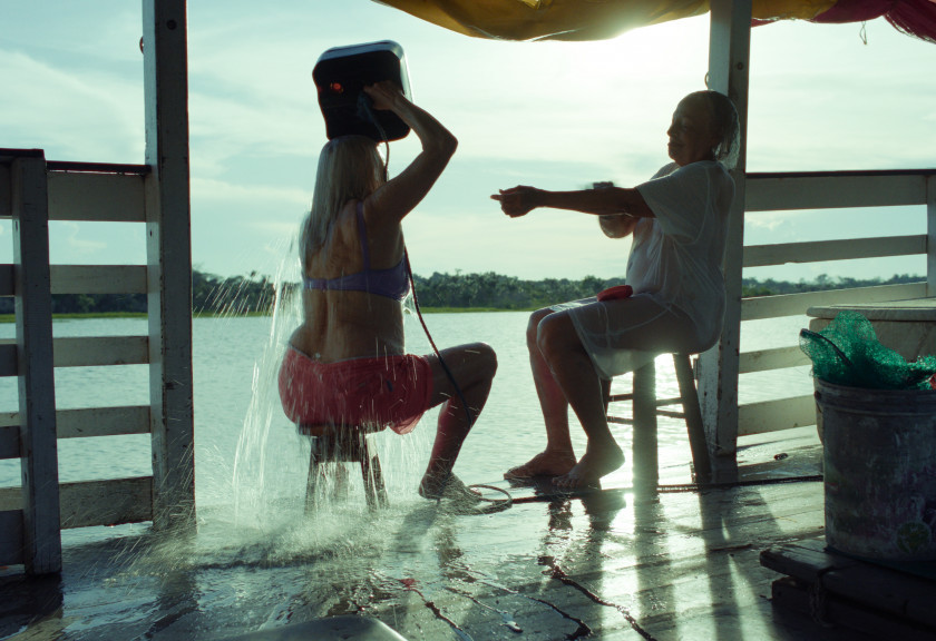 Macaque in the trees