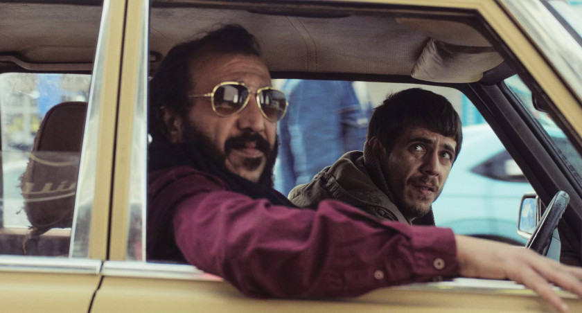 Macaque in the trees