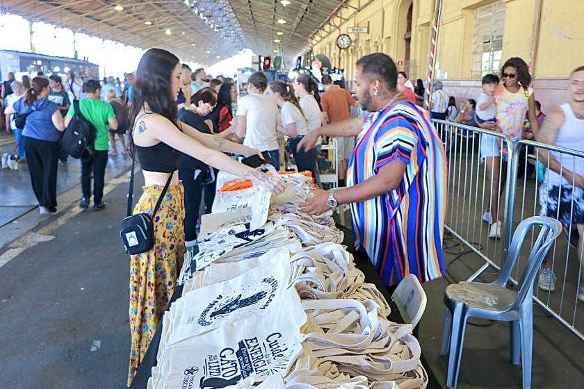 Macaque in the trees