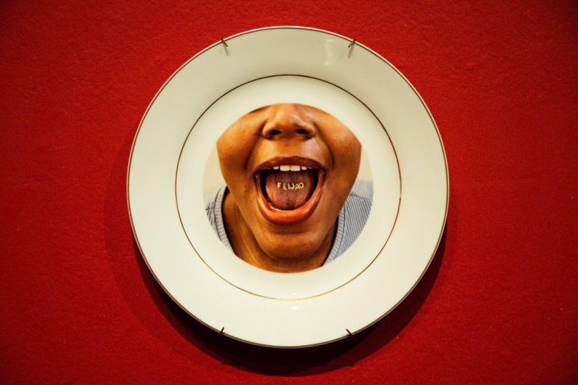 Macaque in the trees