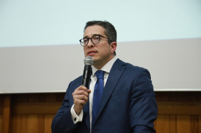 Macaque in the trees