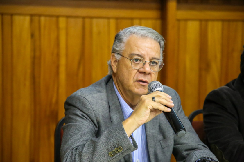 Macaque in the trees