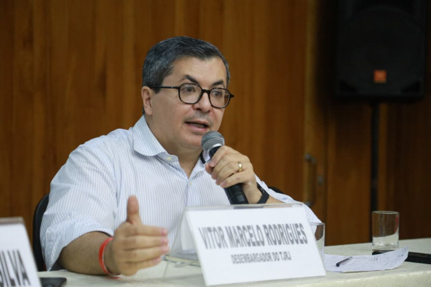 Macaque in the trees