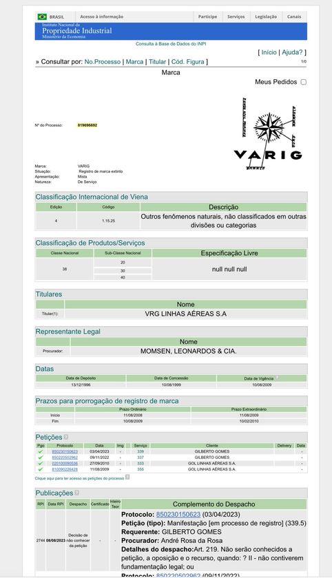 Macaque in the trees