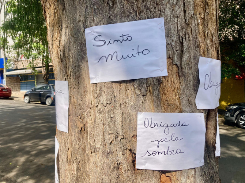 Macaque in the trees