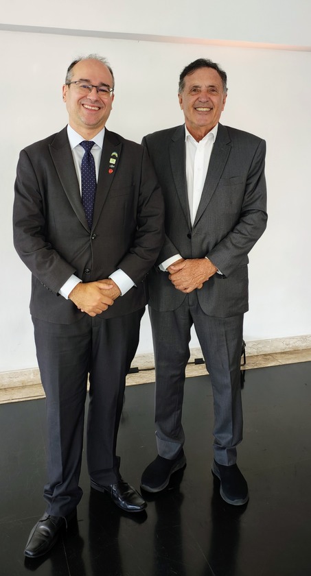 Macaque in the trees