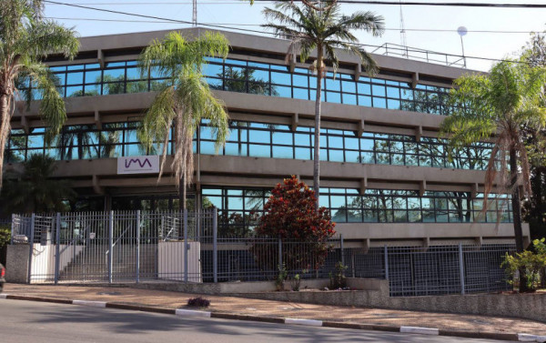 Fachada da IMA em Campinas (SP) Macaque in the trees