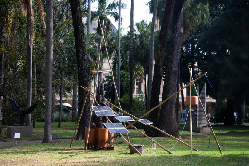 A obra Neosymbiota Lucens de Licida Vidal estará na exposição Macaque in the trees