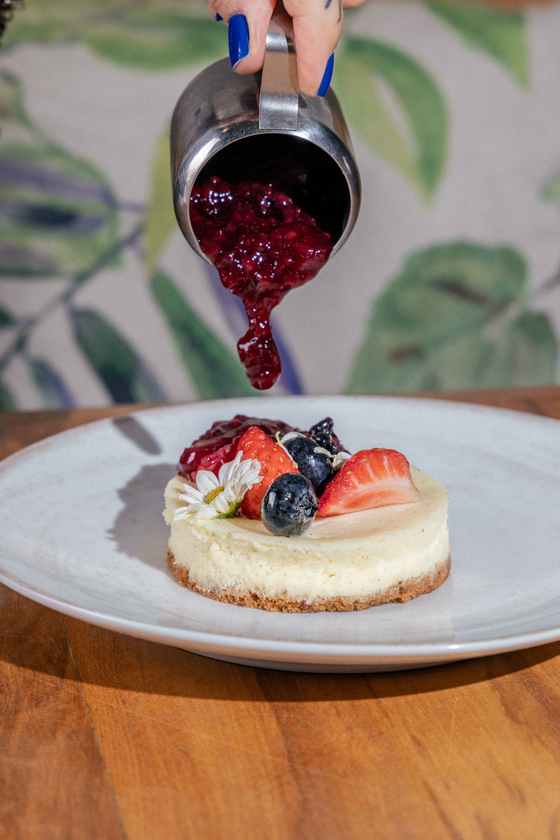 Macaque in the trees