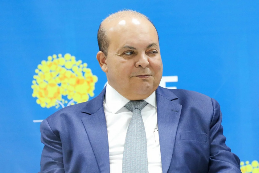 Macaque in the trees