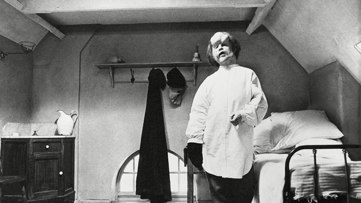 Macaque in the trees