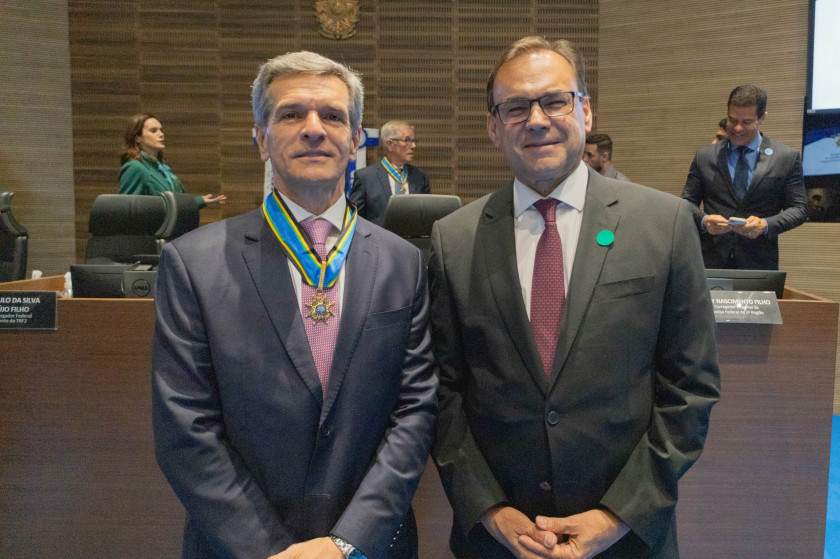 Macaque in the trees