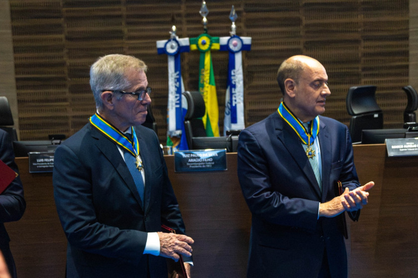 Macaque in the trees