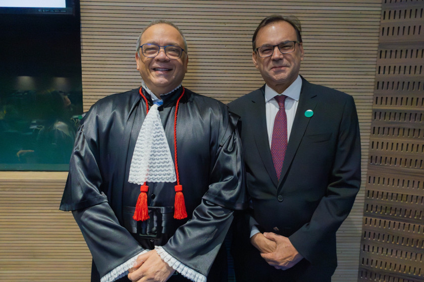 Macaque in the trees