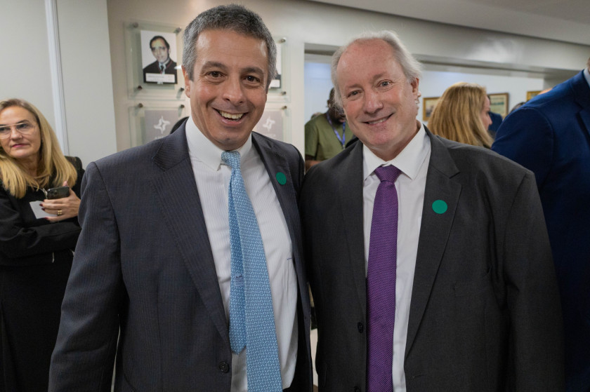 Macaque in the trees