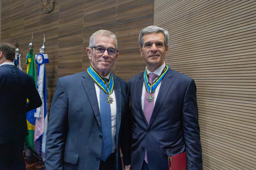 Macaque in the trees