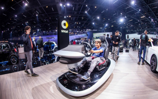 Macaque in the trees