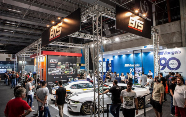 Macaque in the trees