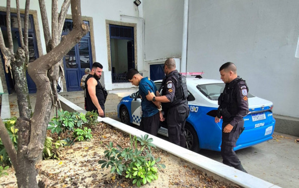 Macaque in the trees