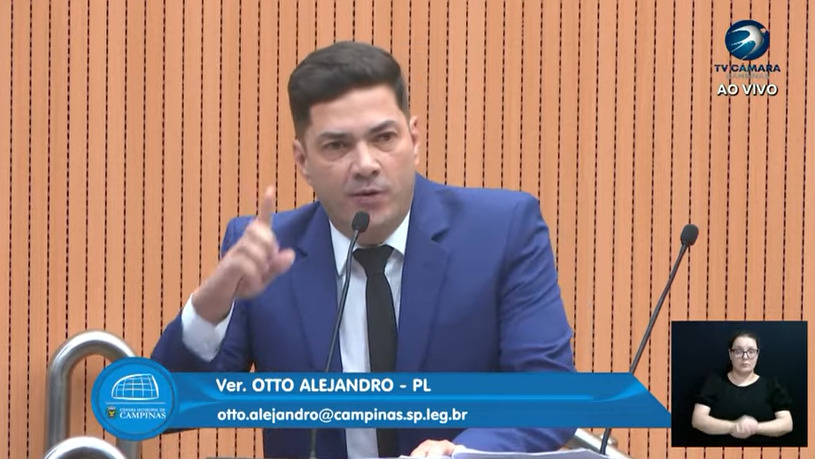 Macaque in the trees