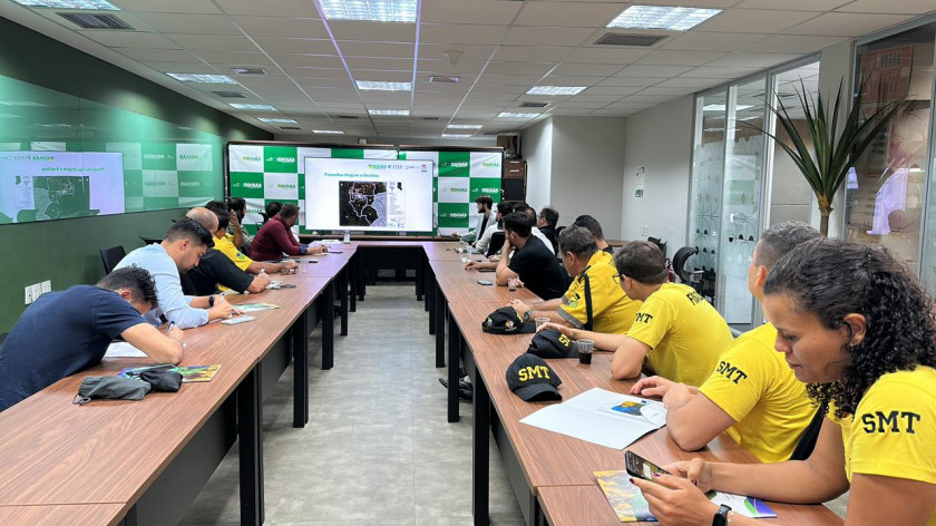 "Pela primeira vez teremos um estudo sério. Podemos ver soluções reais e possíveis a partir daí", afirma o secretário Pábio Mossoró Macaque in the trees