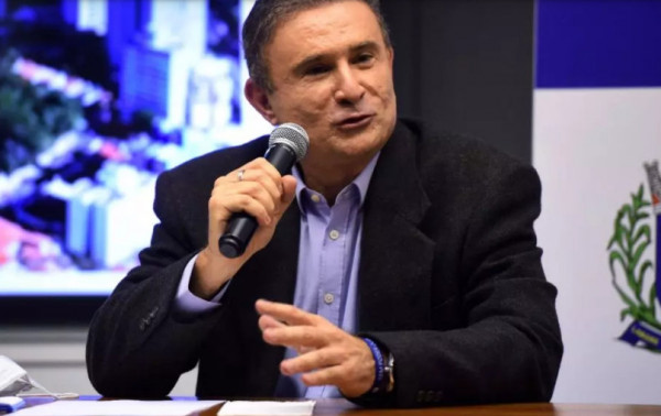 Macaque in the trees