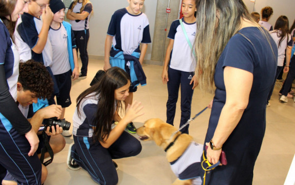 Missy interagindo com os alunos Macaque in the trees