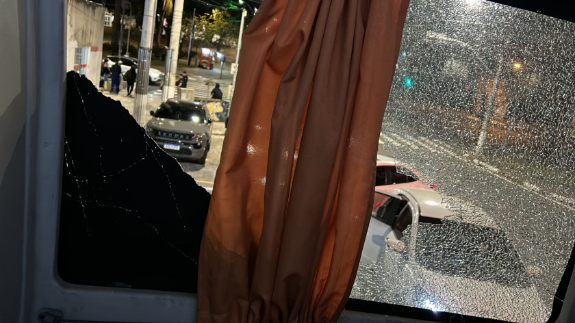 Macaque in the trees