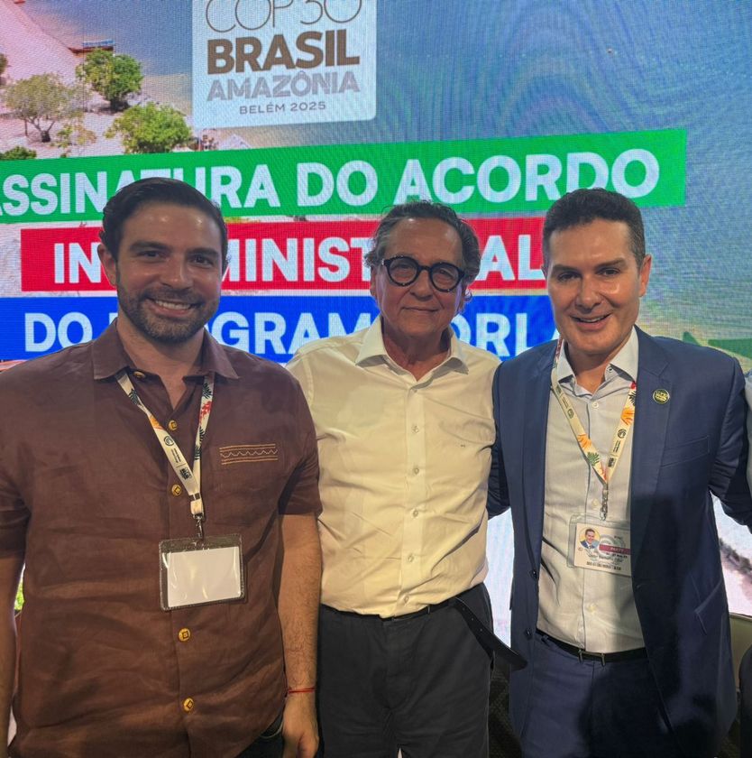 Macaque in the trees