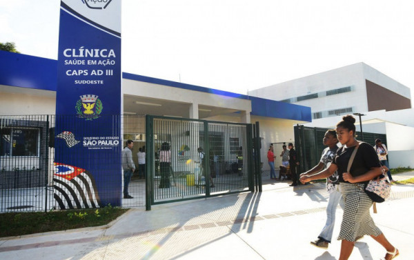 Centro de Atenção Psicossocial Álcool e Drogas (CAPS AD) Sudoeste, em Campinas (SP) Macaque in the trees