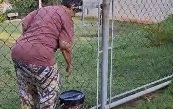 Kátia Maria da Silva Spagnol, de 73 anos, cuidando dos gatos na instituição Macaque in the trees