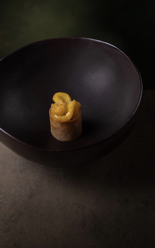 Macaque in the trees