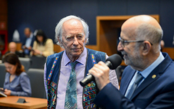 Macaque in the trees