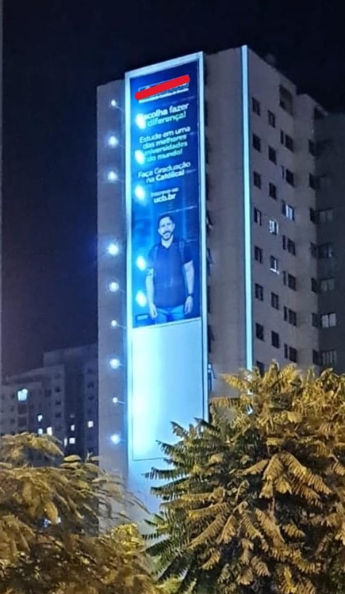 Macaque in the trees